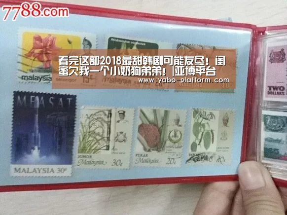 看完这部2018最甜韩剧可能友尽!闺蜜欠我一个小奶狗弟弟!|亚博平台(图3) 亚博