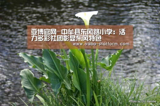 亚博官网